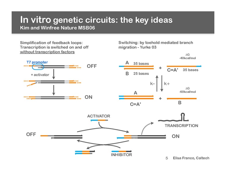 File:Iwbda-2010-franco.pdf