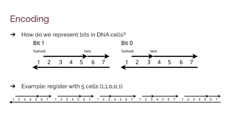 File:DNA27 Presentation.pdf