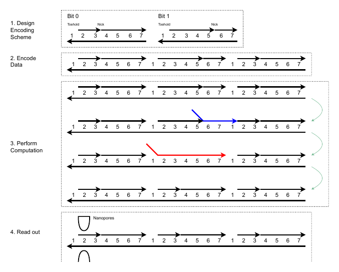 File:Solanki SIMD DNA Computations.png