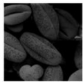 Thumbnail for version as of 16:49, 20 August 2026