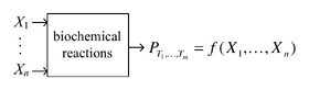 Synthesizing Stochasticity in Biochemical Systems